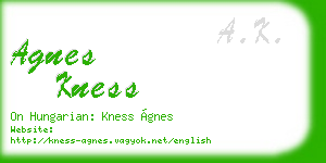 agnes kness business card